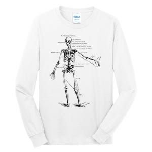 Human Skeleton Anatomy Drawing Diagram Tall Long Sleeve T-Shirt