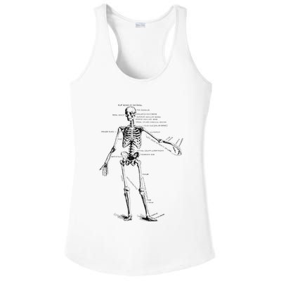 Human Skeleton Anatomy Drawing Diagram Ladies PosiCharge Competitor Racerback Tank
