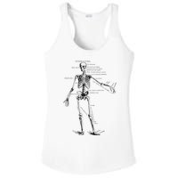 Human Skeleton Anatomy Drawing Diagram Ladies PosiCharge Competitor Racerback Tank