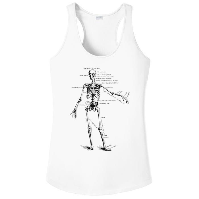 Human Skeleton Anatomy Drawing Diagram Ladies PosiCharge Competitor Racerback Tank