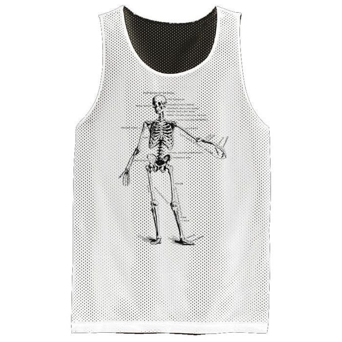 Human Skeleton Anatomy Drawing Diagram Mesh Reversible Basketball Jersey Tank