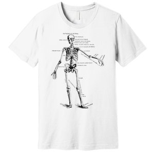 Human Skeleton Anatomy Drawing Diagram Premium T-Shirt