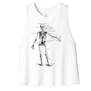 Human Skeleton Anatomy Drawing Diagram Women's Racerback Cropped Tank