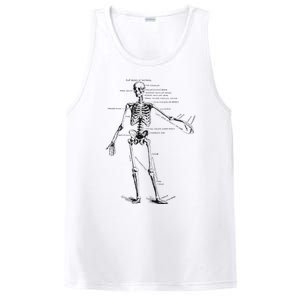 Human Skeleton Anatomy Drawing Diagram PosiCharge Competitor Tank