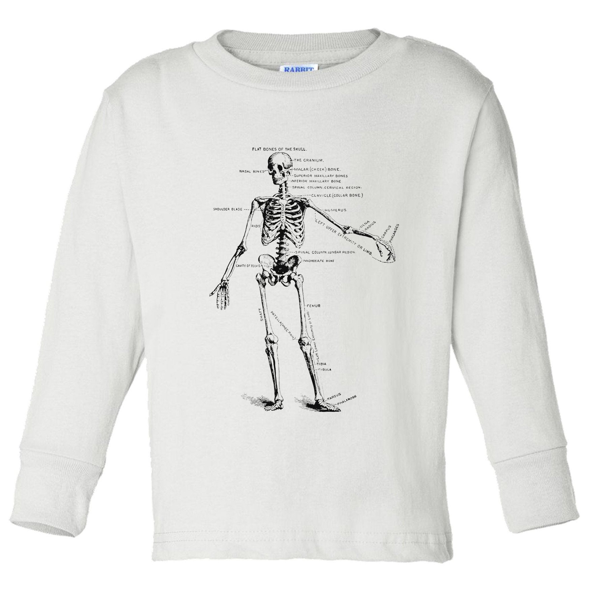 Human Skeleton Anatomy Drawing Diagram Toddler Long Sleeve Shirt