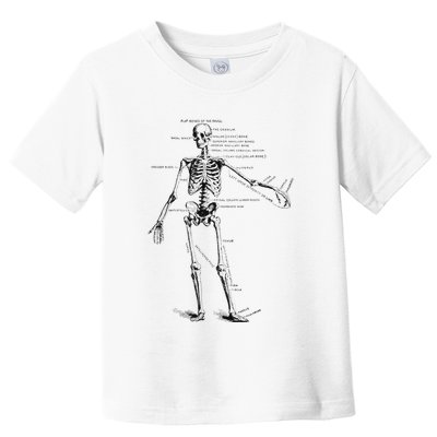 Human Skeleton Anatomy Drawing Diagram Toddler T-Shirt
