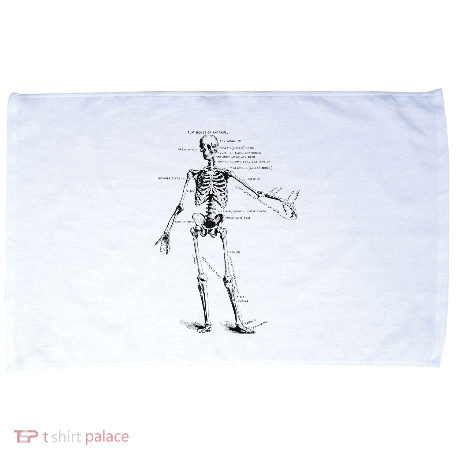 Human Skeleton Anatomy Drawing Diagram Microfiber Hand Towel