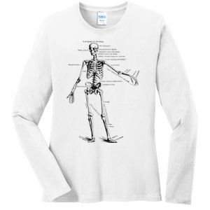 Human Skeleton Anatomy Drawing Diagram Ladies Long Sleeve Shirt