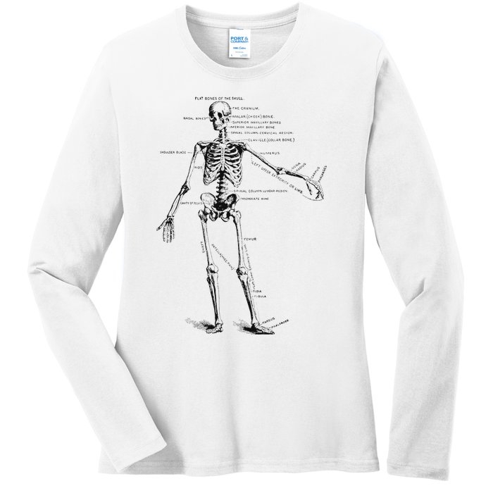 Human Skeleton Anatomy Drawing Diagram Ladies Long Sleeve Shirt