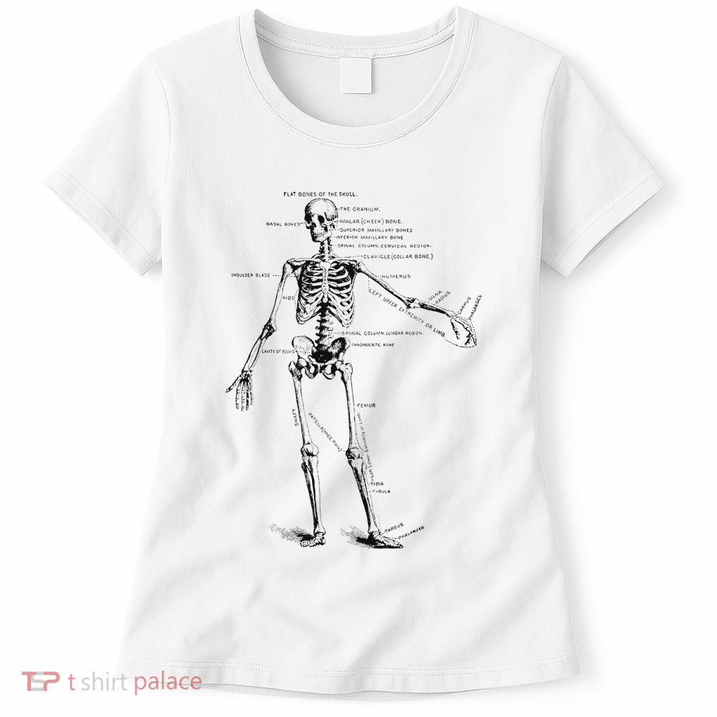 Human Skeleton Anatomy Drawing Diagram Womens T-Shirt