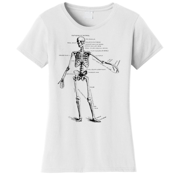 Human Skeleton Anatomy Drawing Diagram Women's T-Shirt