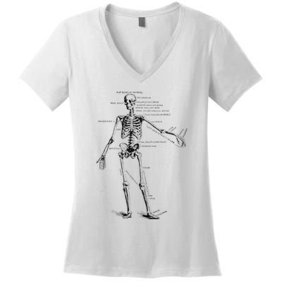 Human Skeleton Anatomy Drawing Diagram Women's V-Neck T-Shirt