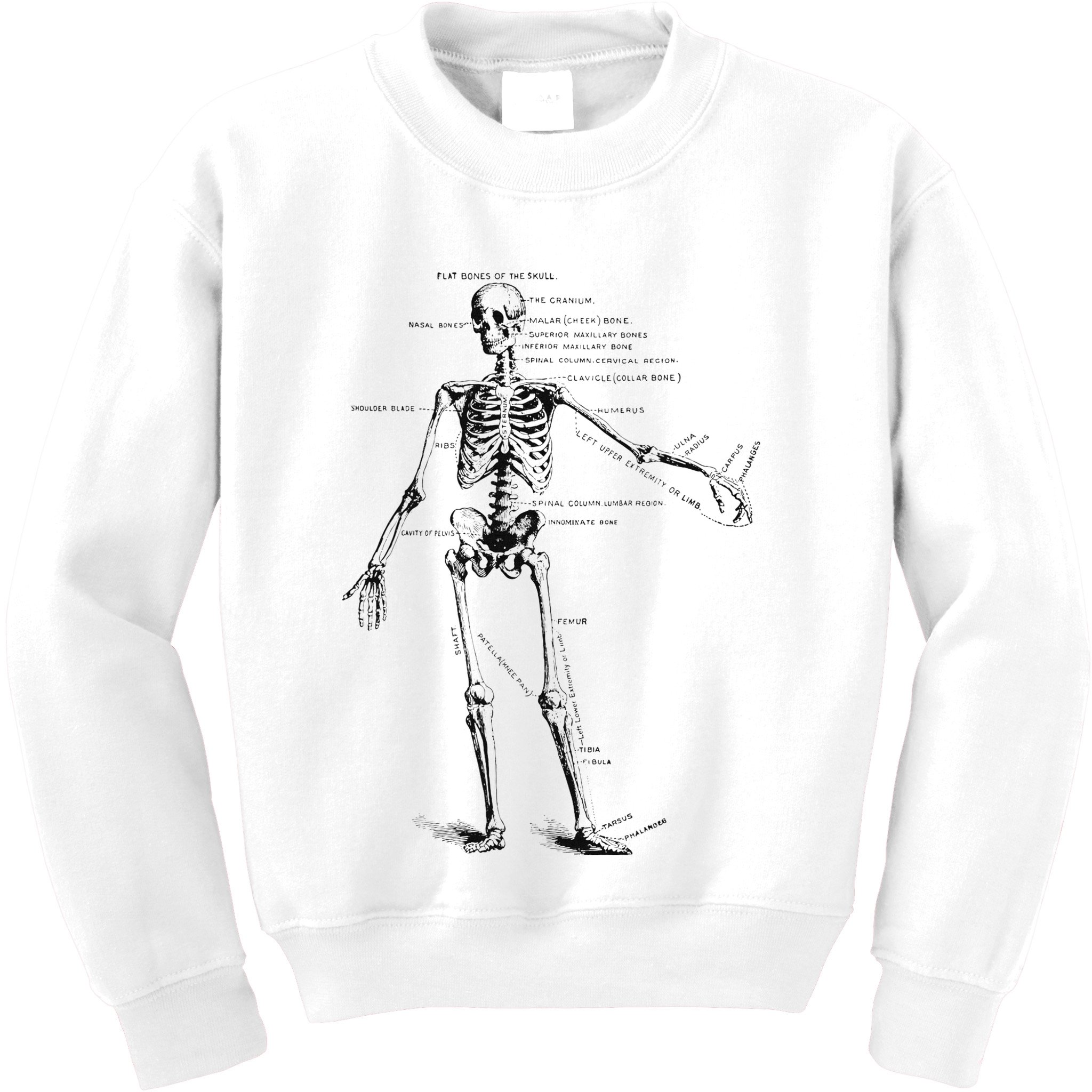 Human Skeleton Anatomy Drawing Diagram Kids Sweatshirt
