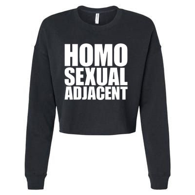 Homo Sexual Adjacent Cropped Pullover Crew