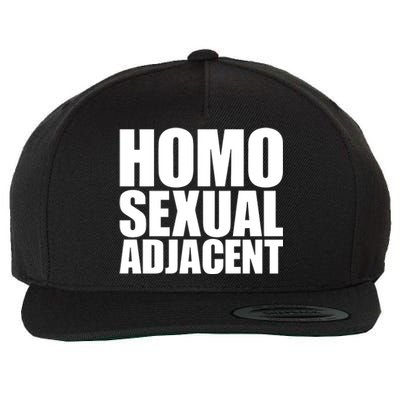 Homo Sexual Adjacent Wool Snapback Cap