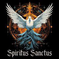 Holy Spirit Confirmation Latin Mass Catholic Hoodie