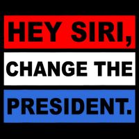 Hey Siri Change The President Funny Political Stripe Pom Pom Beanie