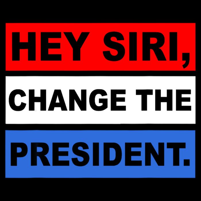 Hey Siri Change The President Funny Political Stripe Pom Pom Beanie