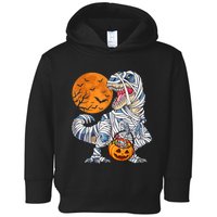 Halloween Shirts Dinosaur T Rex Mummy Pumpkin Toddler Hoodie