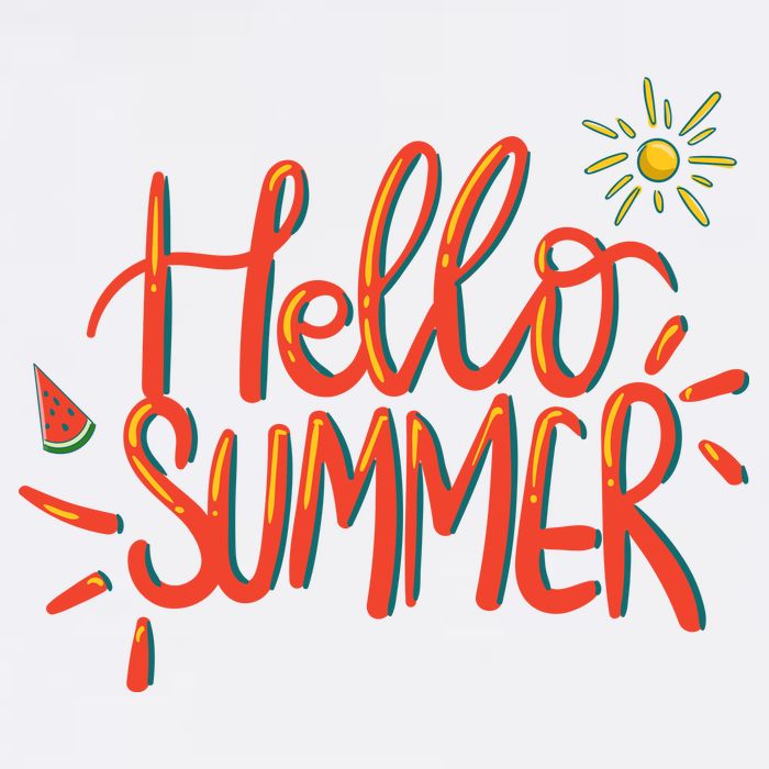 Hello Summer Fun Cute Ladies Long Sleeve Shirt