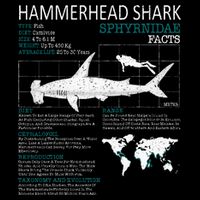 Hammerhead Shark Facts Shark Funny Lover Gift Tall T-Shirt