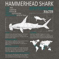 Hammerhead Shark Facts Shark Funny Lover Gift Cotton Canvas Backpack