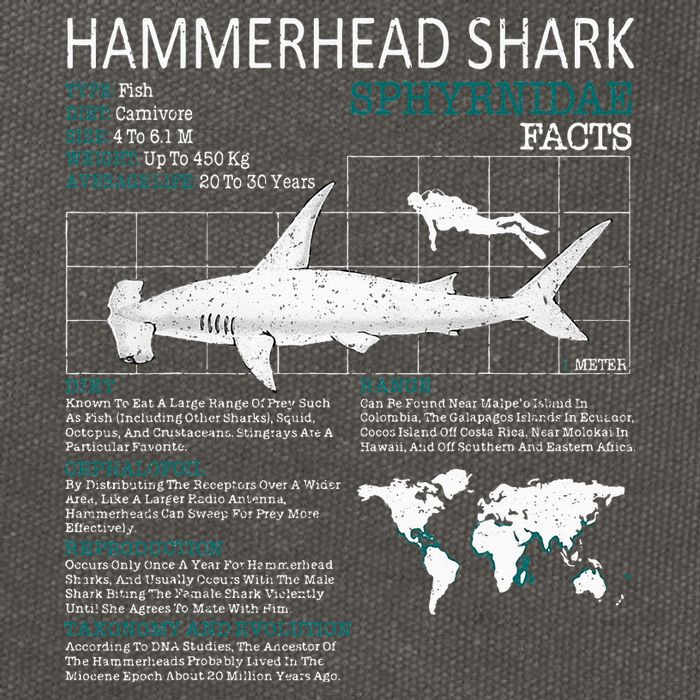 Hammerhead Shark Facts Shark Funny Lover Gift Cotton Canvas Backpack