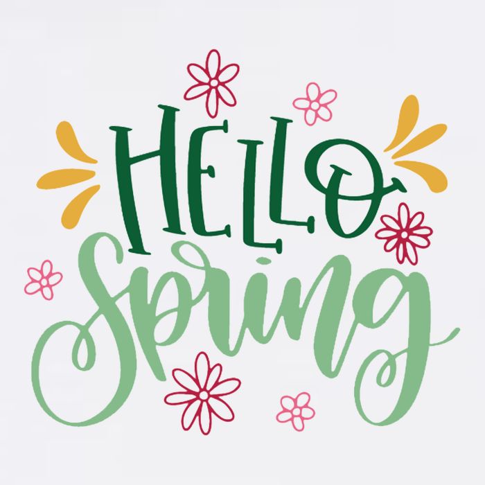 Hello Spring Flowers Premium T-Shirt