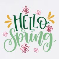 Hello Spring Flowers Women's V-Neck T-Shirt