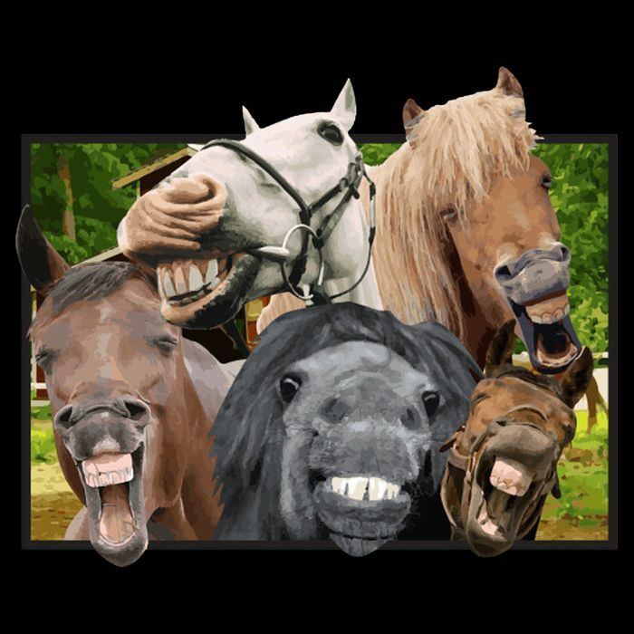 Horses Selfie Funny Bag