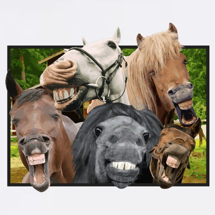 Horses Selfie Funny USA-Made Doggie Bandana