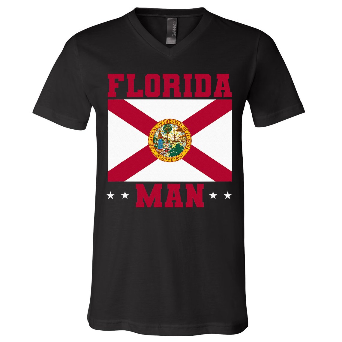 Home State Floridian Florida Man V-Neck T-Shirt