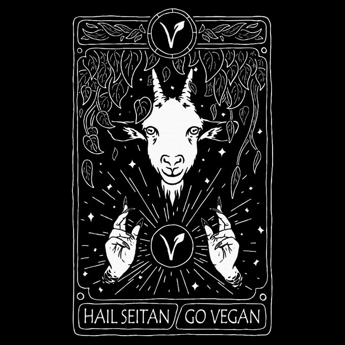 Hail Seitan Go Vegan Magnet