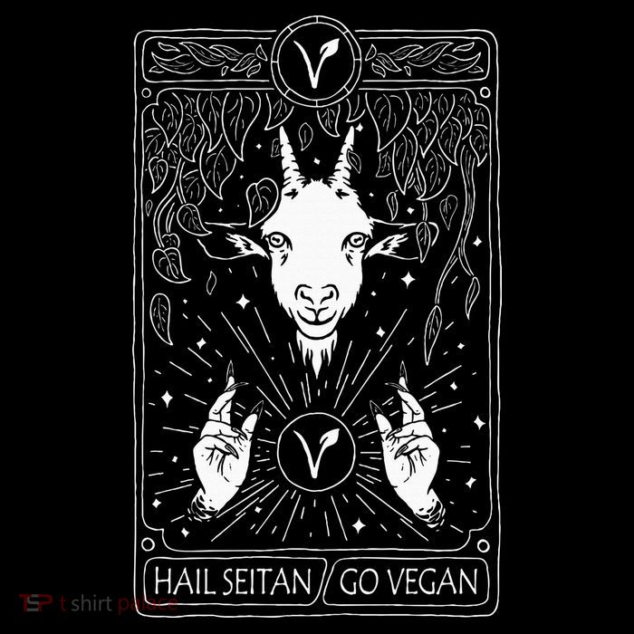 Hail Seitan Go Vegan Kids T-Shirt