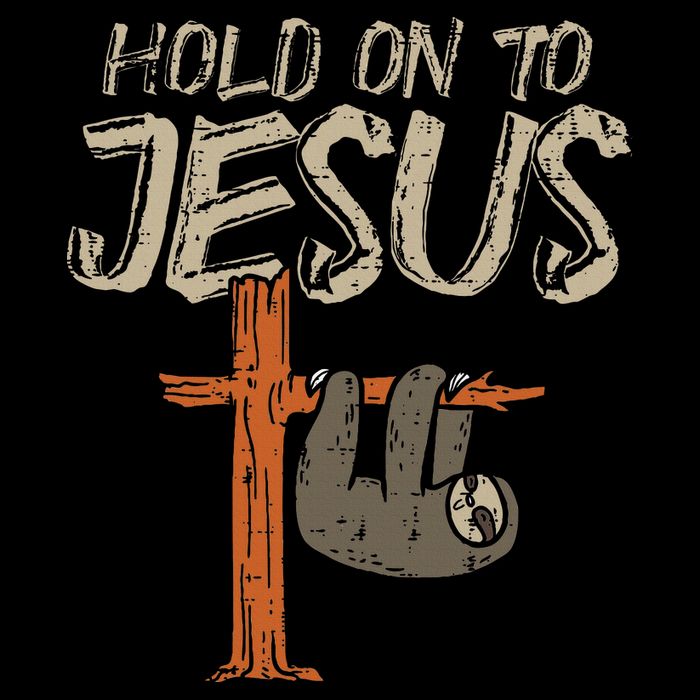 Hanging Sloth Hold On To Jesus God Christian Flat Bill Trucker Hat