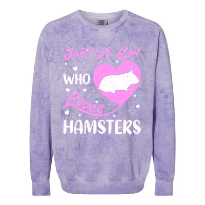 Heart Shape Hamster Just A Girl Who Loves Hamsters Gift Colorblast Crewneck Sweatshirt