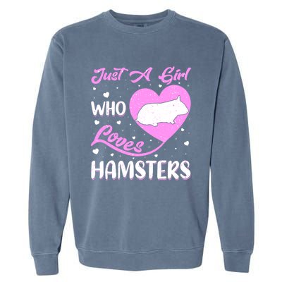 Heart Shape Hamster Just A Girl Who Loves Hamsters Gift Garment-Dyed Sweatshirt