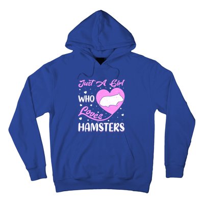 Heart Shape Hamster Just A Girl Who Loves Hamsters Gift Hoodie