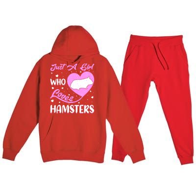 Heart Shape Hamster Just A Girl Who Loves Hamsters Gift Premium Hooded Sweatsuit Set