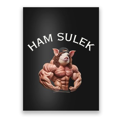 Ham Sulek Poster