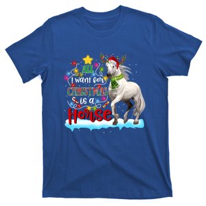 Horse Santa Hat Reindeer All I Want For Christmas Is A Horse Cute Gift T-Shirt