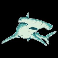 Hammerhead Shark Wool Snapback Cap