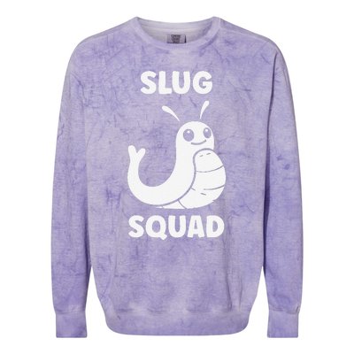 Humor Slugs Insect Cute Minimalist Simple Squad Slug Colorblast Crewneck Sweatshirt