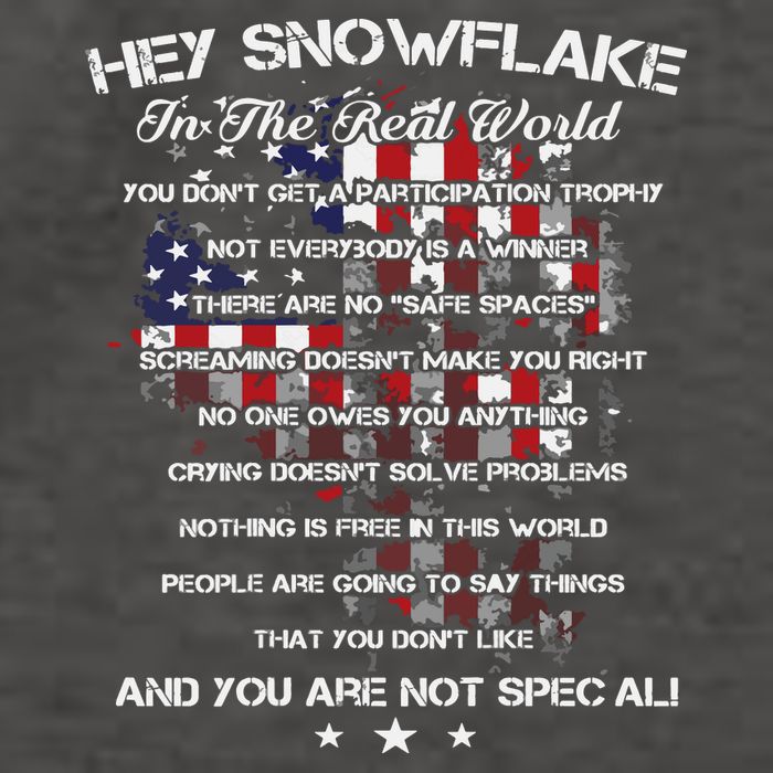 Hey Snowflake In The Real World Veteran Military Vector Backpack