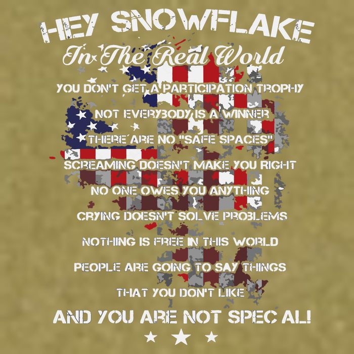 Hey Snowflake In The Real World Veteran Military Garment-Dyed Women's Muscle Tee