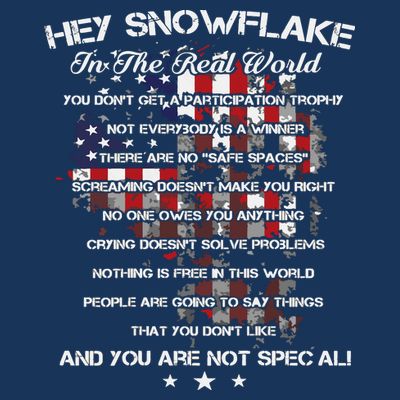 Hey Snowflake In The Real World Veteran Military T-Shirt