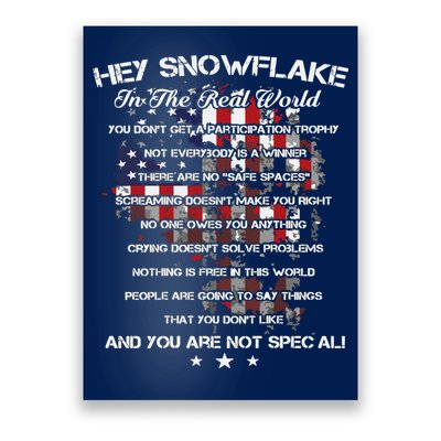 Hey Snowflake In The Real World Veteran Military Poster