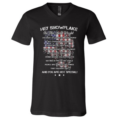 Hey Snowflake In The Real World Veteran Military V-Neck T-Shirt