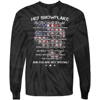 Hey Snowflake In The Real World Veteran Military Tie-Dye Long Sleeve Shirt