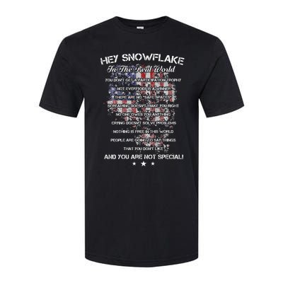 Hey Snowflake In The Real World Veteran Military Softstyle CVC T-Shirt